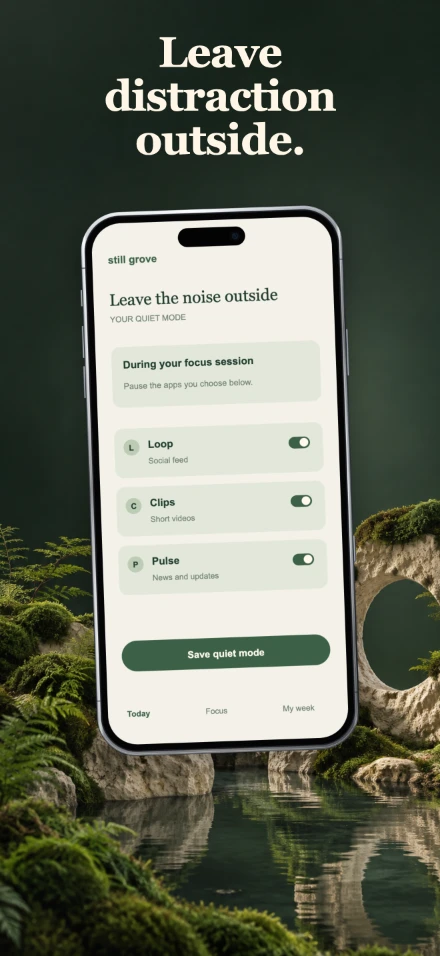 Still Grove, screen 3: Leave distraction outside.